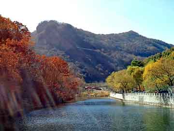 天天彩好彩天天免费，空气呼吸器型号